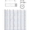 Труба PP-MD с раструбом бесшумная Silent-PP Дн 90х3,1 L=0,25м в/к Geberit 390.401.14.1 — 5