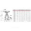 Задвижка клиновая латунь R55 Ду 25 Ру16 ВР маховик Giacomini R55Y005, миниатюра — 1