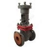 Задвижка клиновая сталь газ 30с964нж Ду 80 Ру25 фл под электропривод присоединение по ОСТ «А» МЗТА, миниатюра — 2